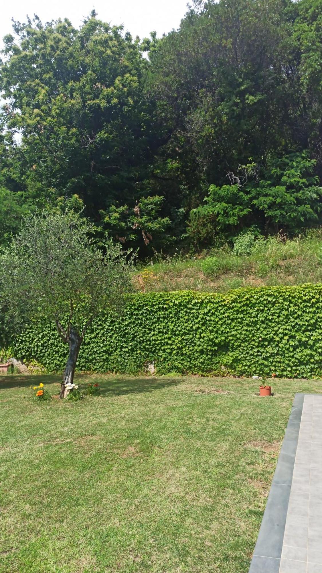 "Vento Di Levante Suite" Benvenuti In Collina Casarza Ligure Exterior foto